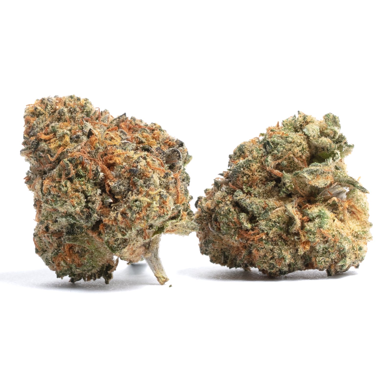 Buy cookies strain europe