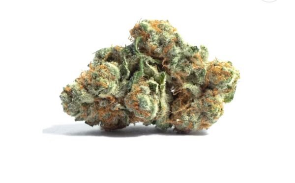 Grandiflora Cookies Strain For Sale