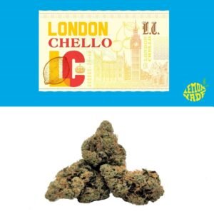 Buy london chello cookies weed strain
