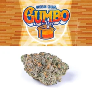Madison square gumbo weed