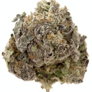 Pink Panties Strain